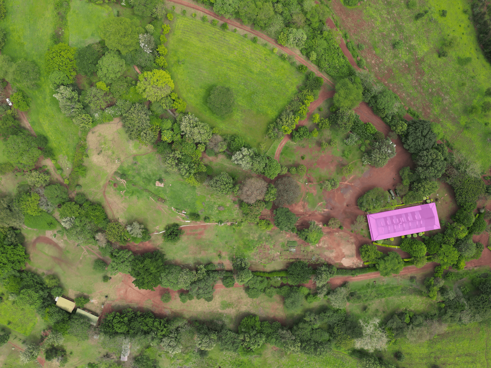 2008 - Outpatient Department